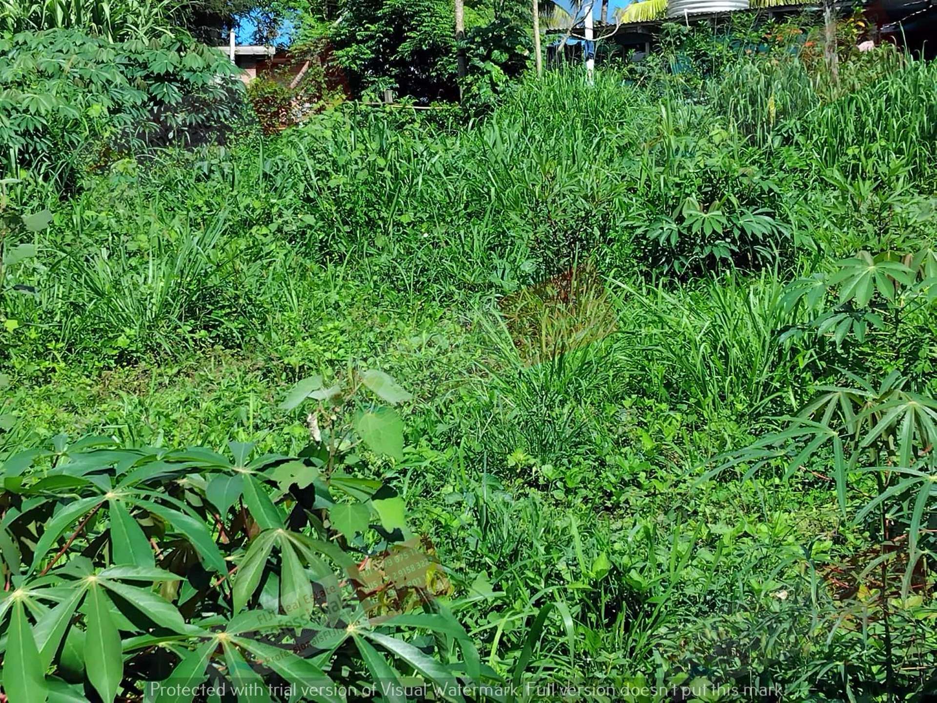 Address withheld Labasa_0