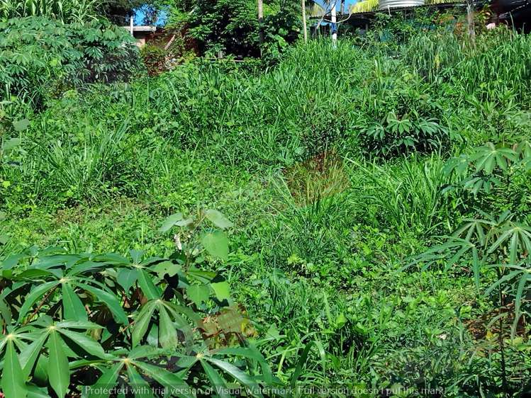 Address withheld Labasa_0