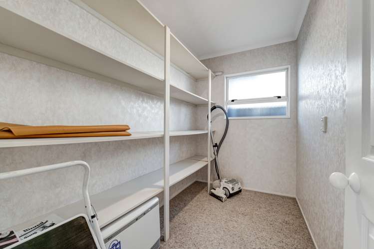 164 Carrington Street Lower Vogeltown_19