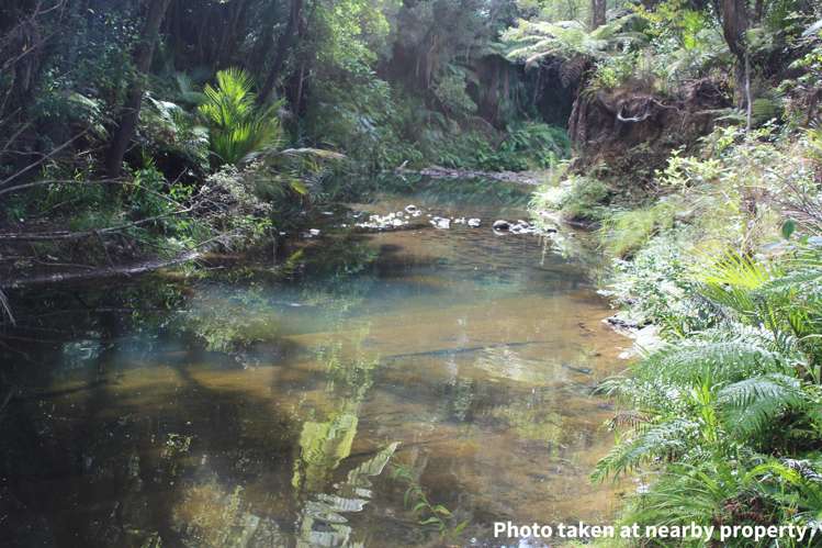 411a Henderson Valley Road Henderson Valley_15