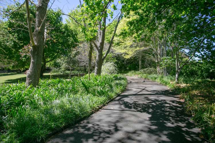 33 Berkers Road Ngahinapouri_16