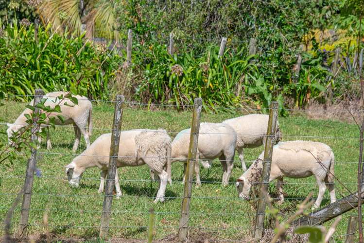 22 Muncastor Road Snells Beach_38