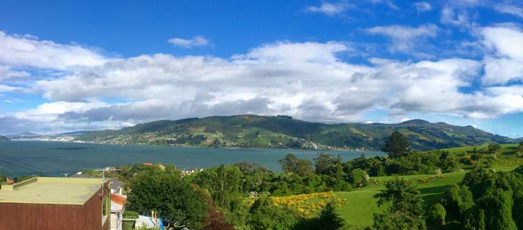 33 Gorman Street Macandrew Bay_23