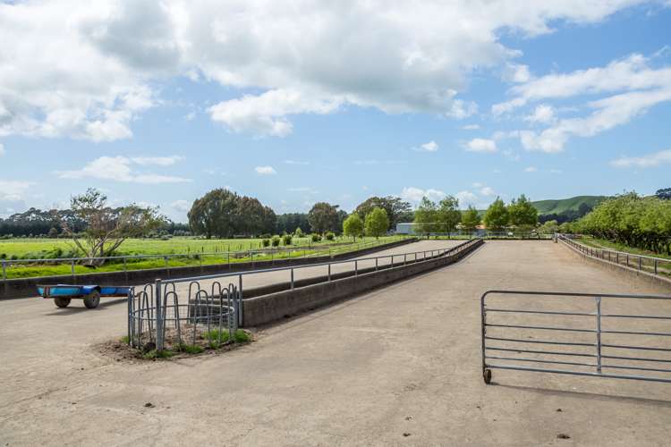 125 Larsen Road Eketahuna_6