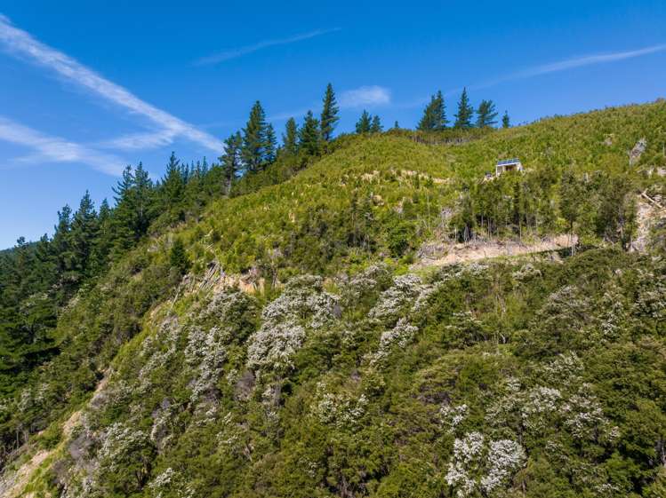 785 Waikakaho Road Tuamarina_46