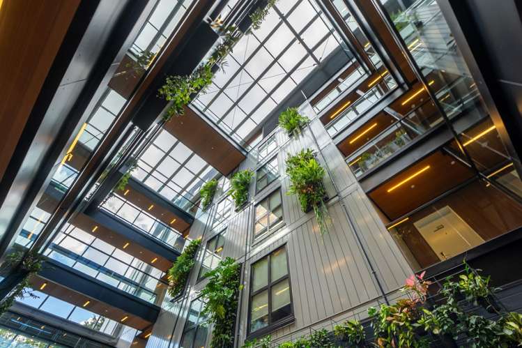 208/4 Bute Road Browns Bay_20