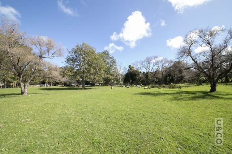 353 Taylor Road Helensville_16