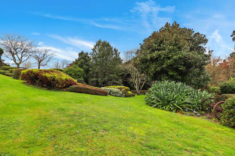 22 Oak Street Morrinsville_19