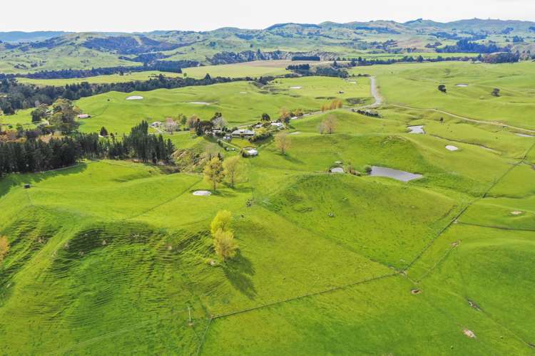 2363 Puketitiri Road Central Hawkes Bay Coastal_18