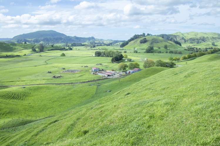 62 Rehi Road Ngakuru_23