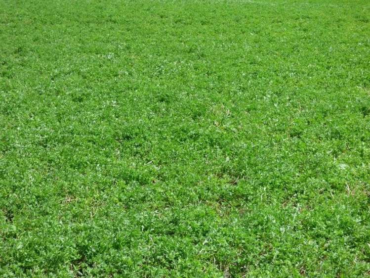 1370 Te Kopia Road Waikite Valley_9