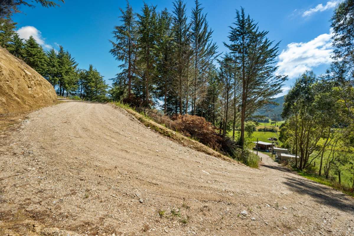 1118 Queen Charlotte Drive_5