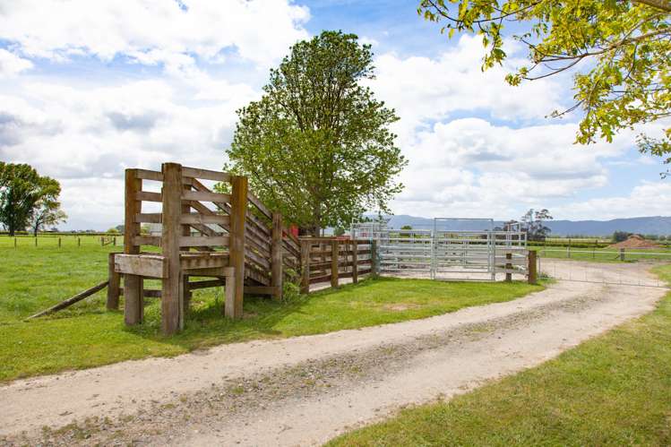 121 Tower Road Matamata_16