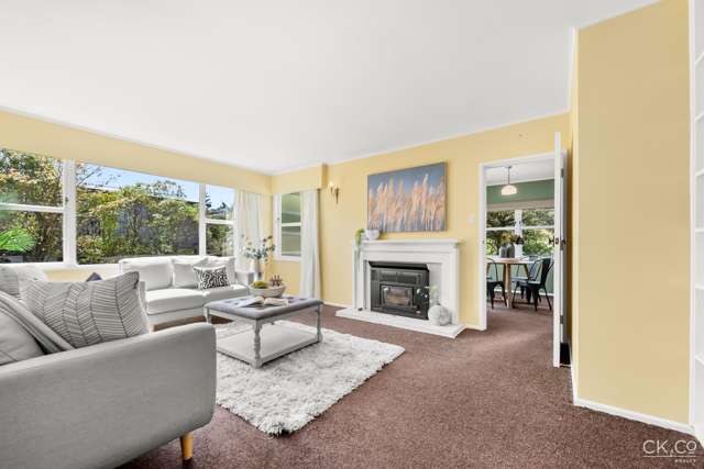 10 Cedar Street Maungaraki_1