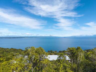 45 Whakamoenga Point_4