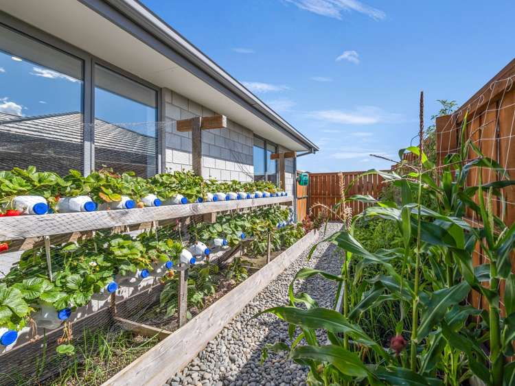 39 Nethercote Way Rolleston_27