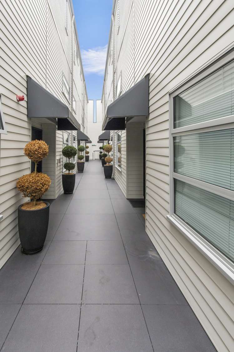 25m George Street Mount Eden_2
