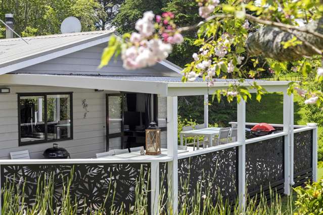 56 Clark And Denize Road Pukekawa_4