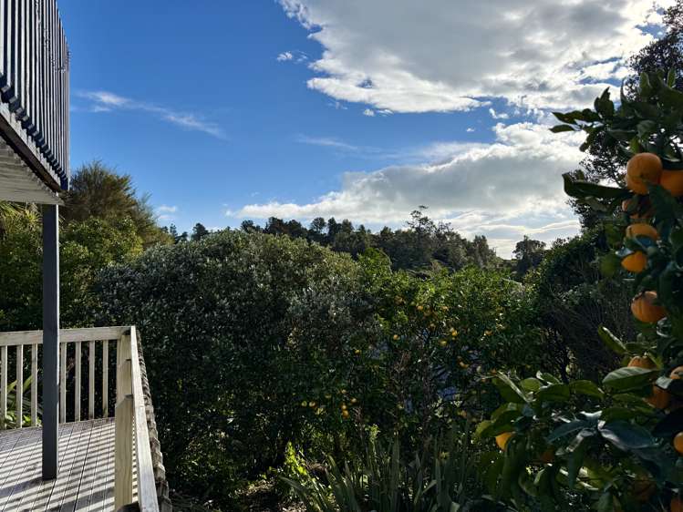 16B Upper Wainui Road Raglan_23