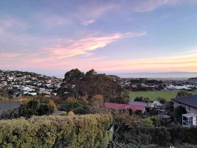 21 Belford Street Waverley_18