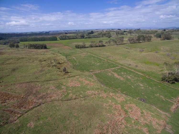 137 Sanson Road Ruawaro_24