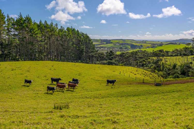 200e Valley Road Waimauku_29