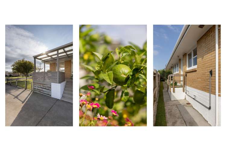 7 Ngahere Street Otumoetai_18