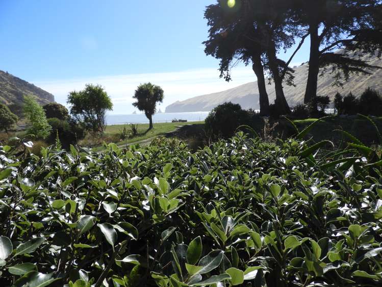 386 Decanter Bay Road Little Akaloa_18