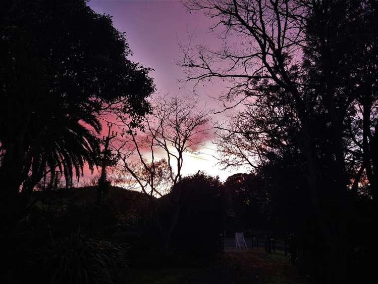 583 Kopuku Road Maramarua Forest_50