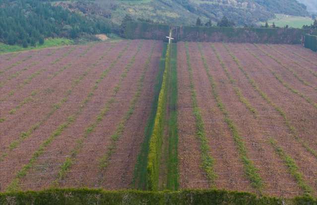 102A&B Huse Lane Rangiuru_4