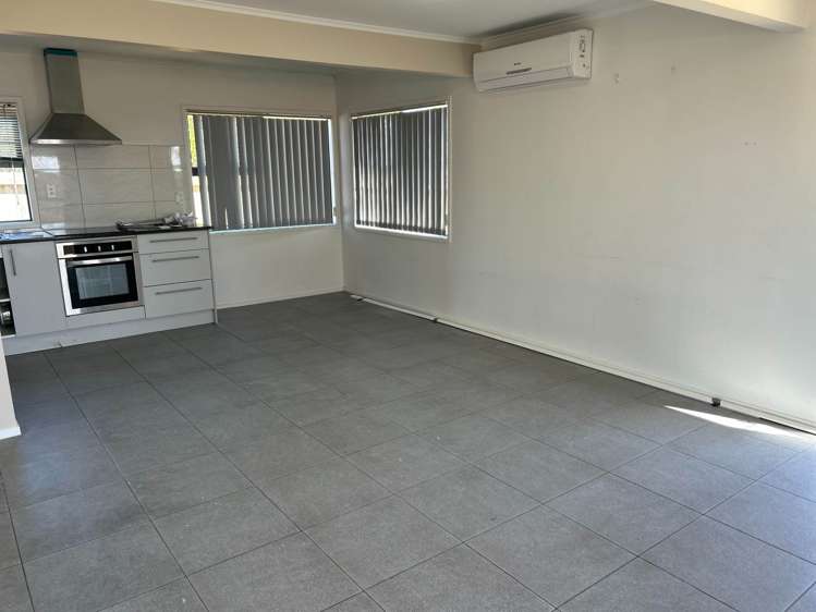 Matthews Road Flat Bush_5