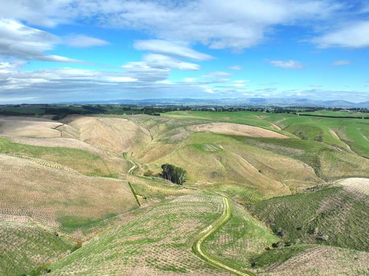 174 McCulloch Road Awamangu_21