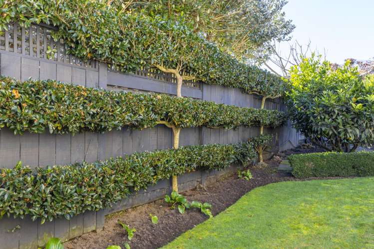 3 Te Hepera Street Waipahihi_17