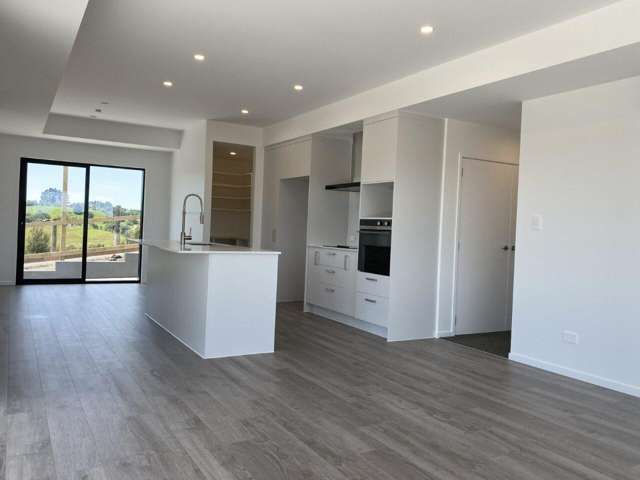 354 Whitehills Road Dairy Flat_1