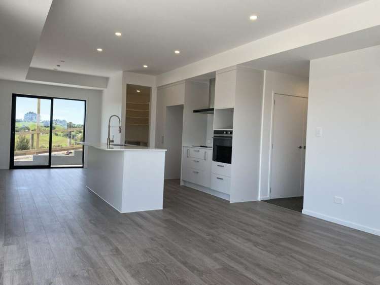 354 Whitehills Road Dairy Flat_1