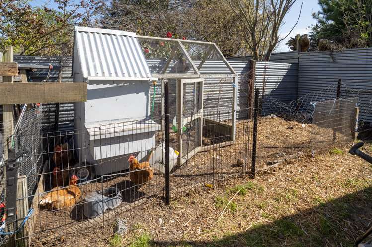 82 Mcmurdo Street Tinwald_19