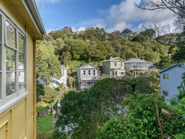 58c Norway Street Aro Valley_1