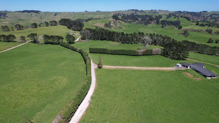 2611 Pouto Road Te Kopuru_15
