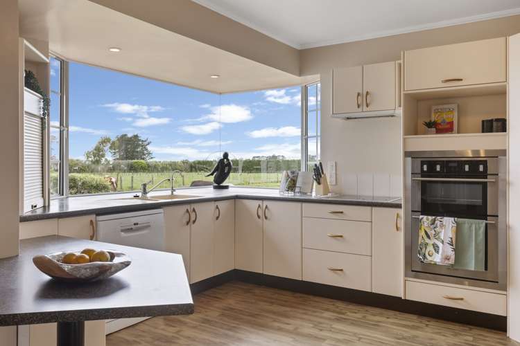 387 Smart Road Hillsborough_6