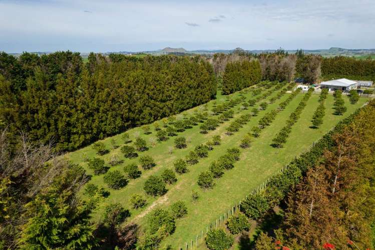 908A Te Ahu Ahu Road, Waimate North Kerikeri_16