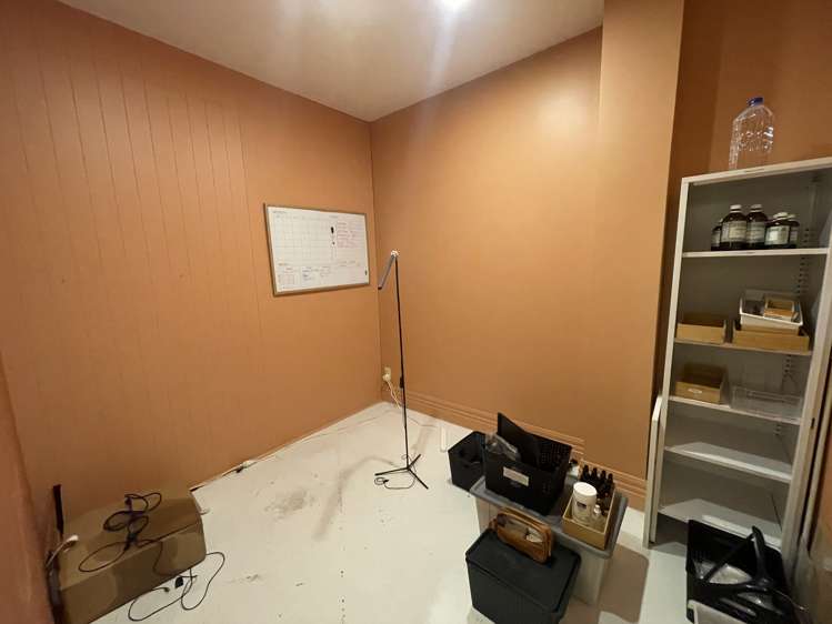 23 Jervois Road Ponsonby_6