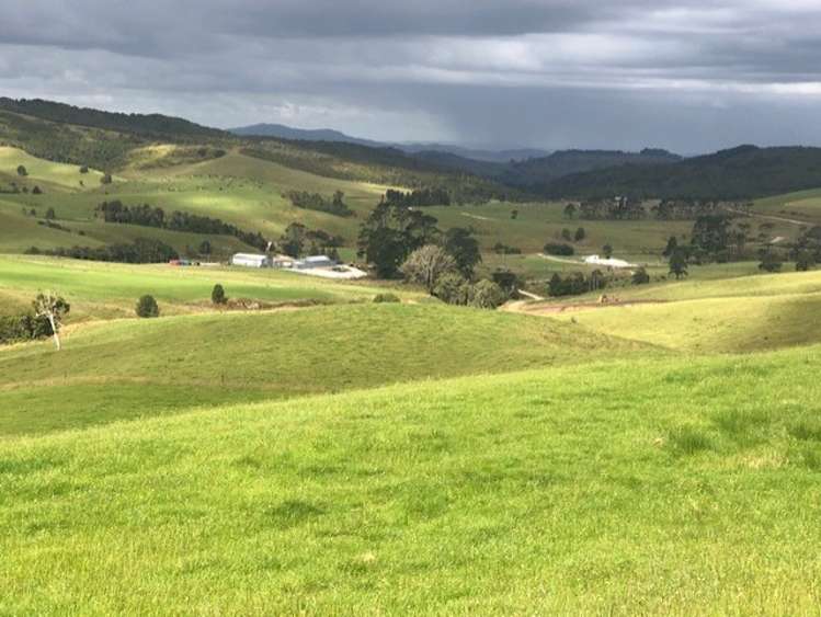 24 Foster Road Dargaville Surrounds_26