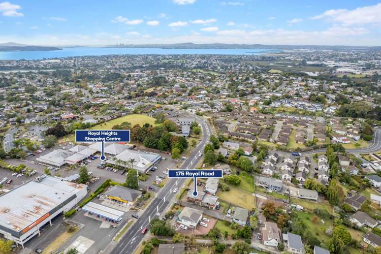 175 Royal Road Massey_14
