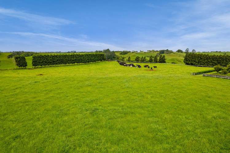 325A Awai Road Tarurutangi_29