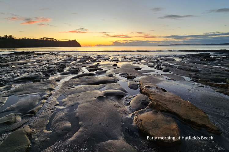 31a Ocean View Road Hatfields Beach_29