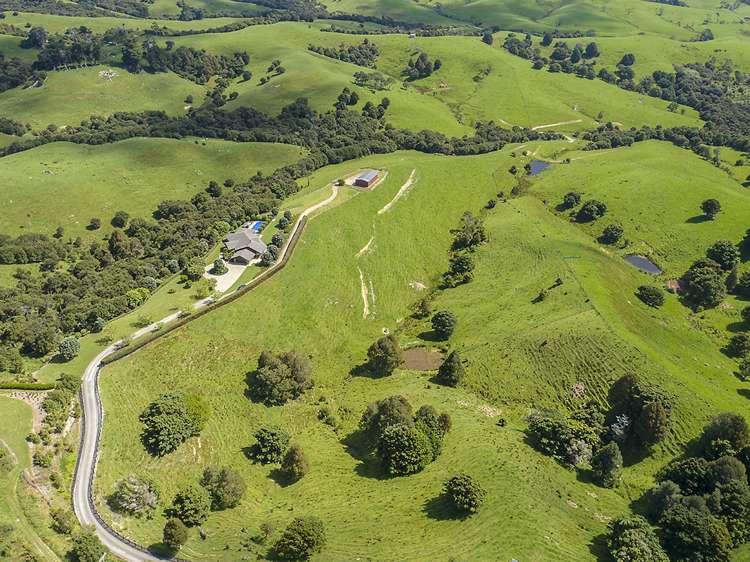 306 Shanks Road Helensville_17