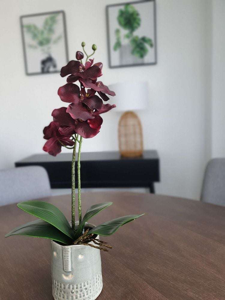 1310/1 Parliament Street Auckland Central_24