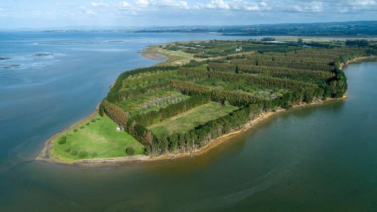 405-419 Matahui Road Aongatete_9