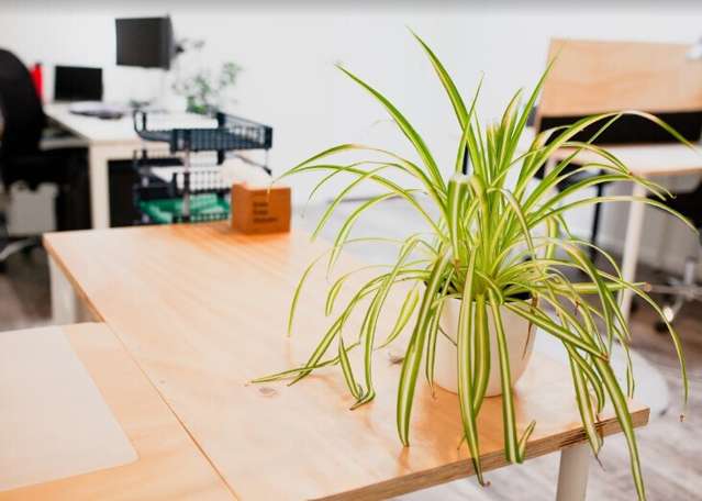 32 Victoria Street Cambridge_2