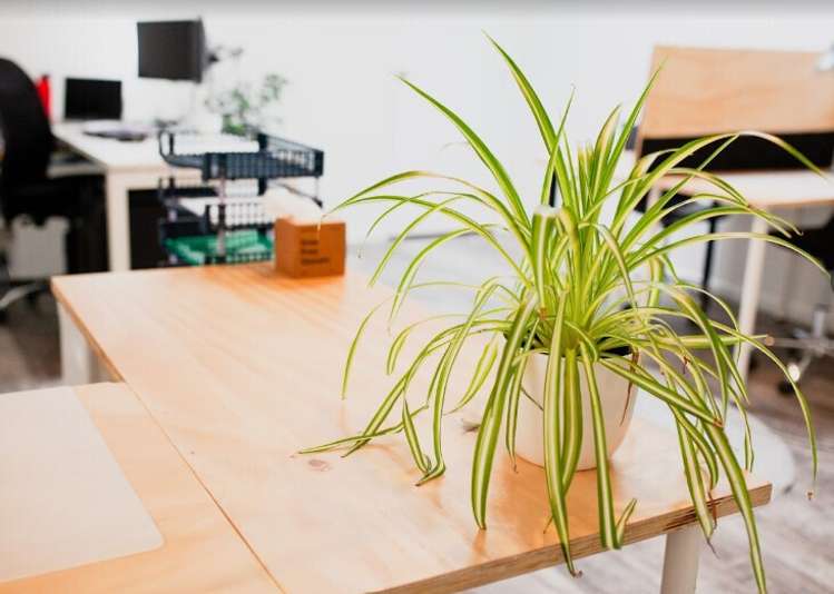 32 Victoria Street Cambridge_1